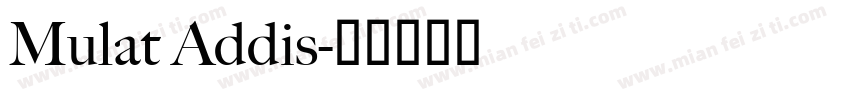Mulat Addis字体转换